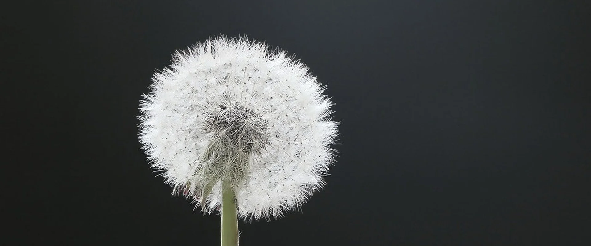 澳门天空彩票PG电子